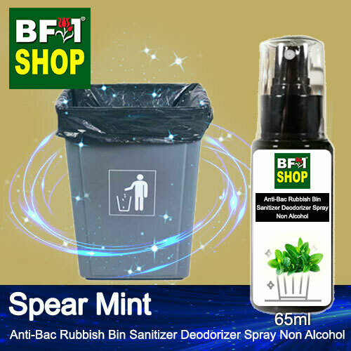 (ABRBSD) mint - Spear Mint Anti-Bac Rubbish Bin Sanitizer Deodorizer Spray - Non Alcohol - 65ml