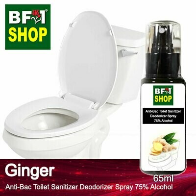 (ABTSD) Ginger Anti-Bac Toilet Sanitizer Deodorizer Spray - 75% Alcohol - 65ml