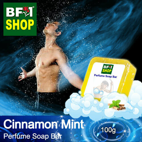(PSB1) Perfume Soap Bar - WBP Cinnamon Mint - 100g