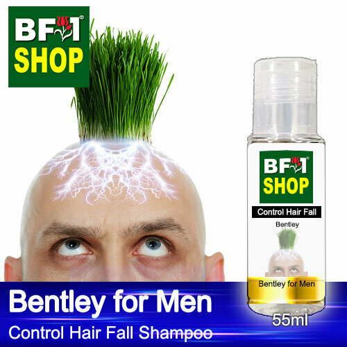 (CHFS) AmBBentley - Bentley for Men Control Hair Fall Shampoo - 55ml - Man
