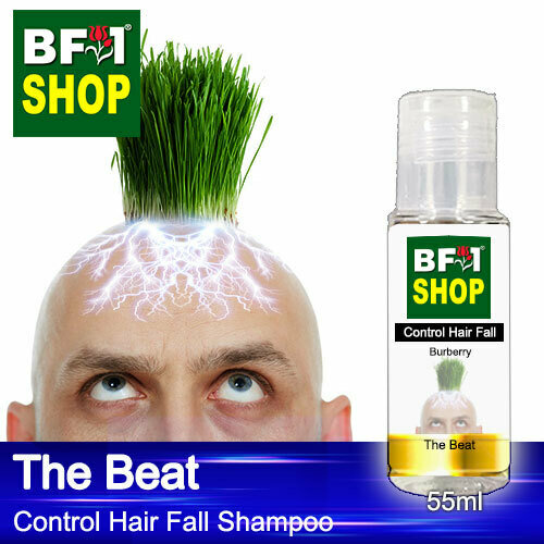 (CHFS) AmBBurberry - The Beat Control Hair Fall Shampoo - 55ml - Man