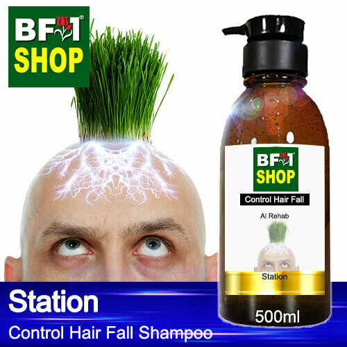 (CHFS) AmBAl Rehab - Station Control Hair Fall Shampoo - 500ml - Man