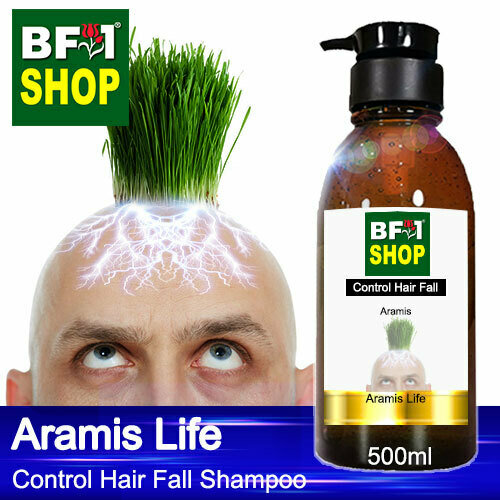 (CHFS) AmBAramis - Aramis Life Control Hair Fall Shampoo - 500ml - Man