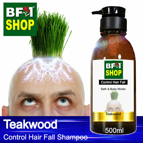 (CHFS) AmBBath &amp; Body Works - Teakwood Control Hair Fall Shampoo - 500ml - Man
