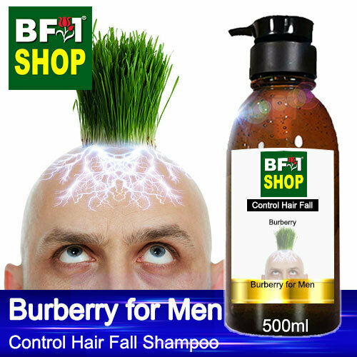 (CHFS) AmBBurberry - Burberry for Men Control Hair Fall Shampoo - 500ml - Man