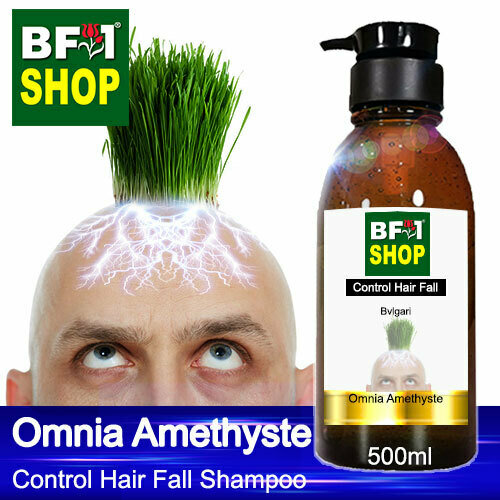 (CHFS) AmBBvlgari - Omnia Amethyste Control Hair Fall Shampoo - 500ml - Man