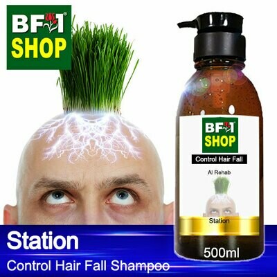 (CHFS) AmBAl Rehab - Station Control Hair Fall Shampoo - 500ml - Man