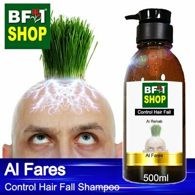 (CHFS) AmBAl Rehab - Al Fares Control Hair Fall Shampoo - 500ml - Man