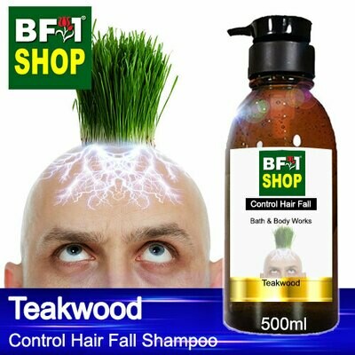 (CHFS) AmBBath &amp; Body Works - Teakwood Control Hair Fall Shampoo - 500ml - Man