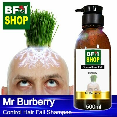 (CHFS) AmBBurberry - Mr Burberry Control Hair Fall Shampoo - 500ml - Man