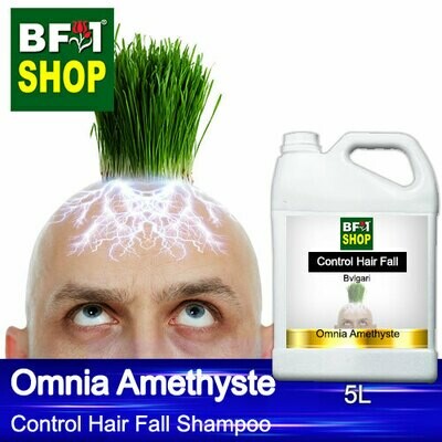 (CHFS) AmBBvlgari - Omnia Amethyste Control Hair Fall Shampoo - 5L - Man