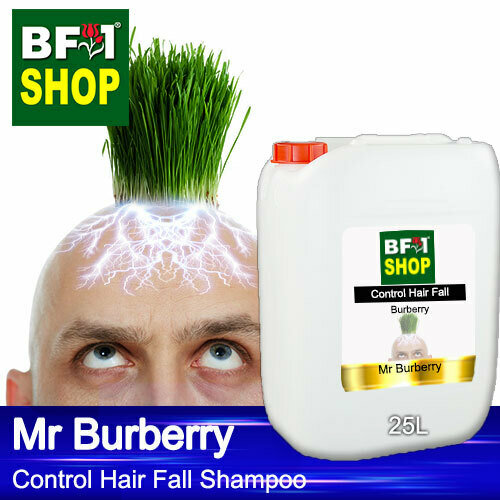 (CHFS) AmBBurberry - Mr Burberry Control Hair Fall Shampoo - 25L - Man