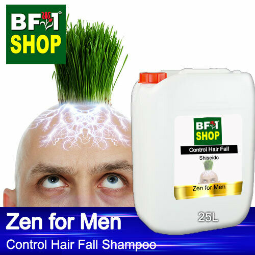 (CHFS) AmBShiseido - Zen for Men Control Hair Fall Shampoo - 25L - Man