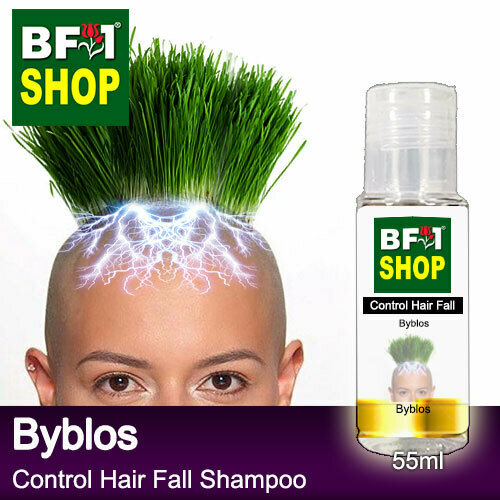 (CHFS) AmBByblos - Byblos Control Hair Fall Shampoo - 55ml Woman