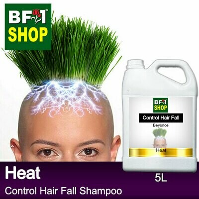 (CHFS) AmBBeyonce - Heat Control Hair Fall Shampoo - 5L Woman