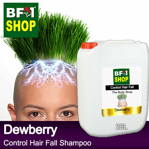 (CHFS) AmBThe Body Shop - Dewberry Control Hair Fall Shampoo - 25L Woman