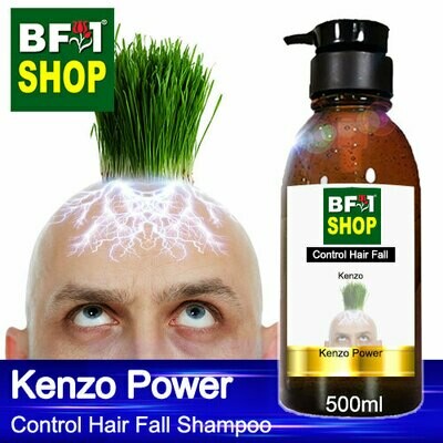 (CHFS) AmBKenzo - Kenzo Power Control Hair Fall Shampoo - 500ml - Man