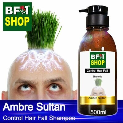 (CHFS) AmBShiseido - Ambre Sultan Control Hair Fall Shampoo - 500ml - Man