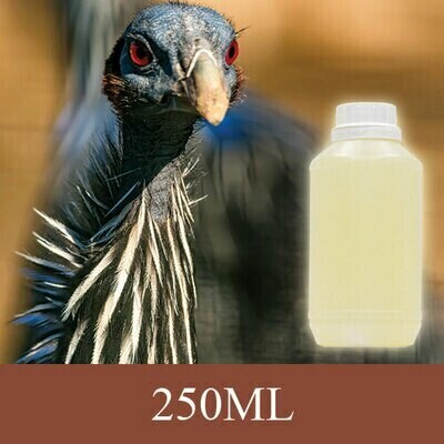 Reed Diffuser Perfume - Nature - 250ml