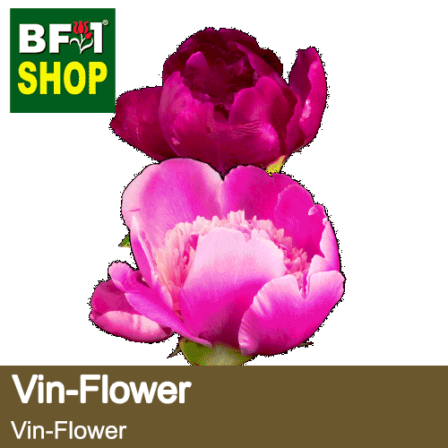 (VFW) Vin-Flower-Category