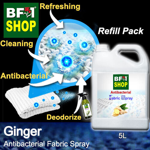 Fabric Spray - Ginger - 5L 