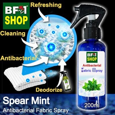 Fabric Spray - mint - Spear Mint - 200ml 