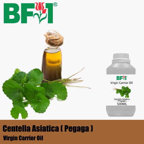 VCO - Centella Asiatica ( Pegaga ) Virgin Carrier Oil - 500ml