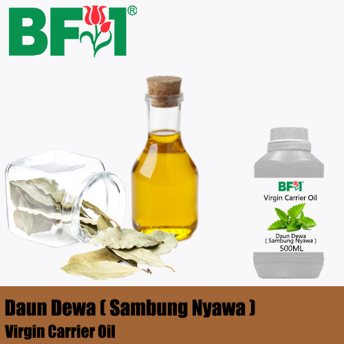 VCO - Daun Dewa ( Sambung Nyawa ) Virgin Carrier Oil - 500ml