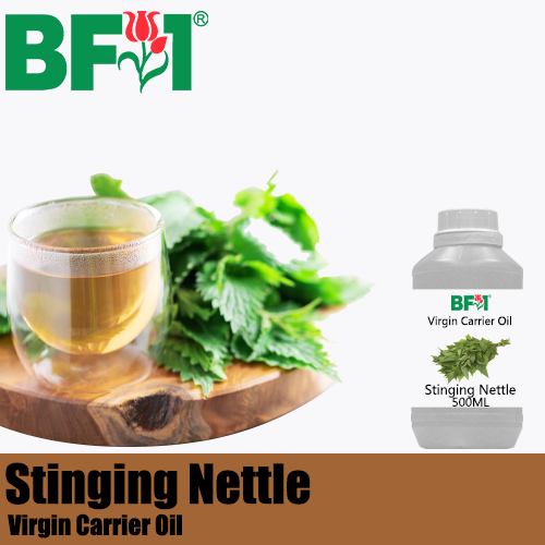 VCO - Stinging Nettle Virgin Carrier Oil - 500ml
