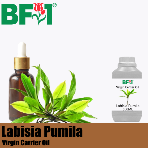VCO - Labisia Pumila ( Kacip Fatimah ) Virgin Carrier Oil - 500ml
