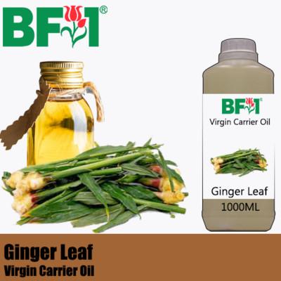 VCO - Ginger Leaf Virgin Carrier Oil - 1000ml
