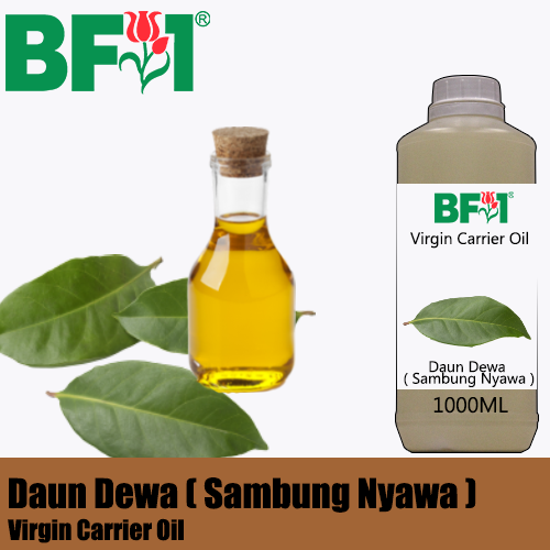 VCO - Daun Dewa ( Sambung Nyawa ) Virgin Carrier Oil - 1000ml