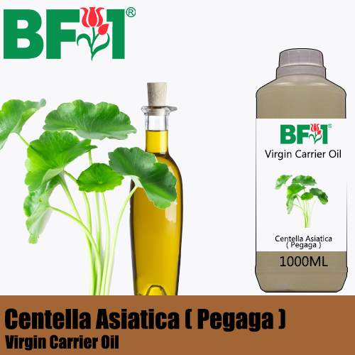 VCO - Centella Asiatica ( Pegaga ) Virgin Carrier Oil - 1000ml