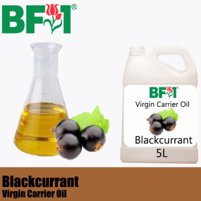 VCO - Blackcurrant Virgin Carrier Oil - 5000ml