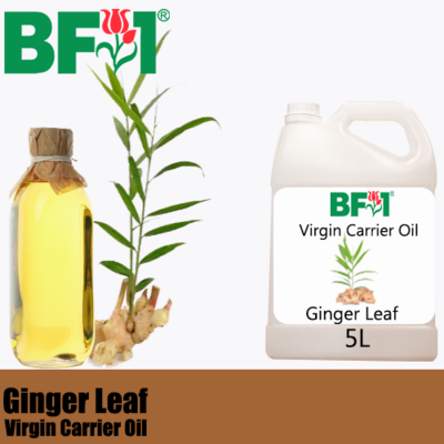 VCO - Ginger Leaf Virgin Carrier Oil - 5000ml