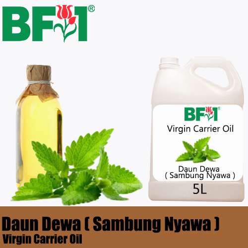 VCO - Daun Dewa ( Sambung Nyawa ) Virgin Carrier Oil - 5000ml