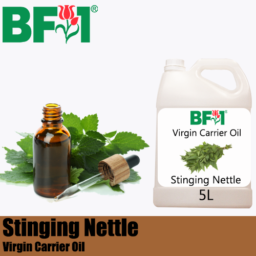 VCO - Stinging Nettle Virgin Carrier Oil - 5000ml