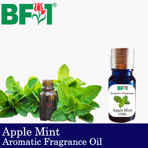 Aromatic Fragrance Oil (AFO) - Apple Mint - 10ml