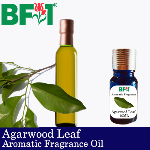 Aromatic Fragrance Oil (AFO) - Agarwood Leaf - 10ml