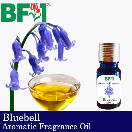 Aromatic Fragrance Oil (AFO) - Bluebell - 10ml
