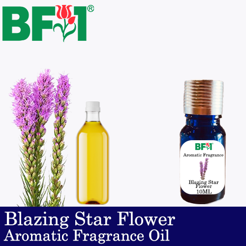 Aromatic Fragrance Oil (AFO) - Blazing Star Flower - 10ml