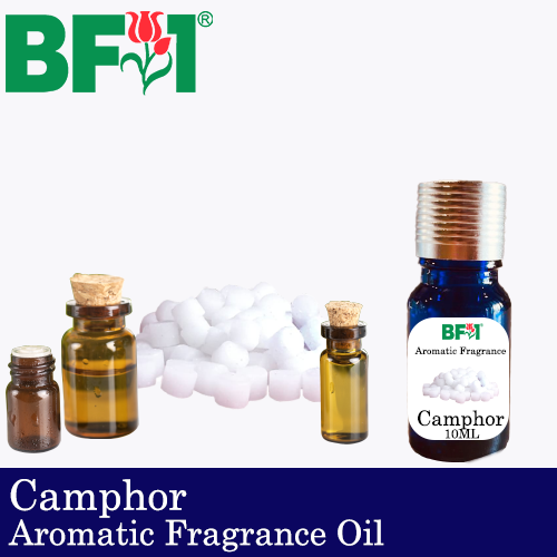 Aromatic Fragrance Oil (AFO) - Camphor - 10ml