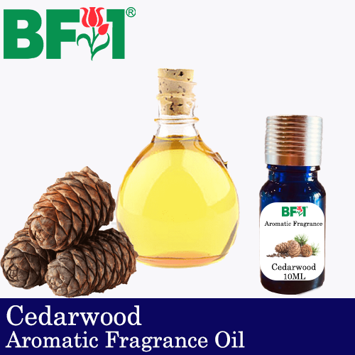 Aromatic Fragrance Oil (AFO) - Cedarwood - 10ml