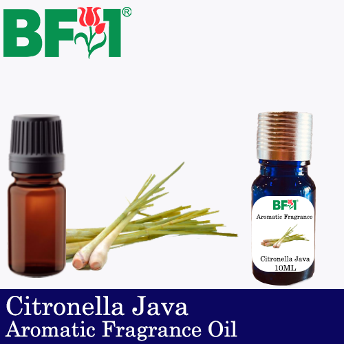 Aromatic Fragrance Oil (AFO) - Citronella Java Citronella - 10ml