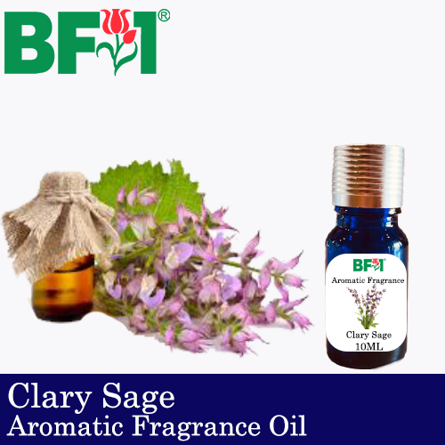 Aromatic Fragrance Oil (AFO) - Clary Sage - 10ml