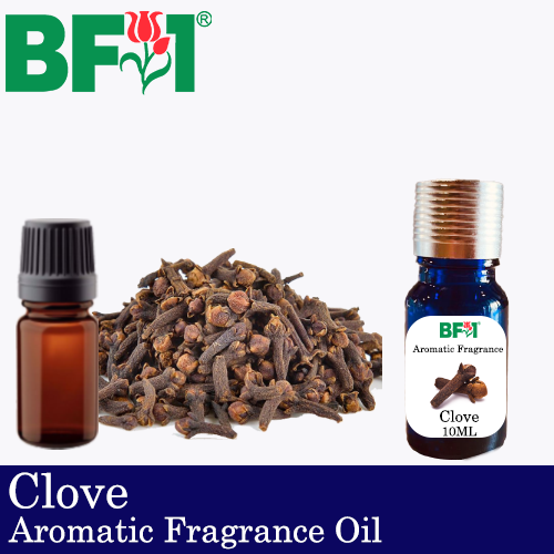 Aromatic Fragrance Oil (AFO) - Clove - 10ml