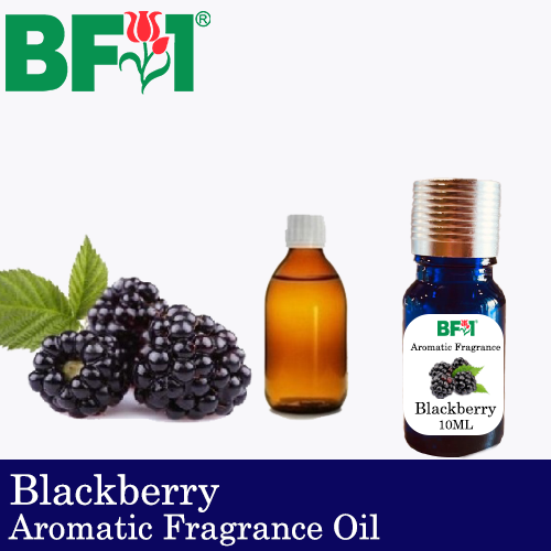 Aromatic Fragrance Oil (AFO) - Blackberry - 10ml