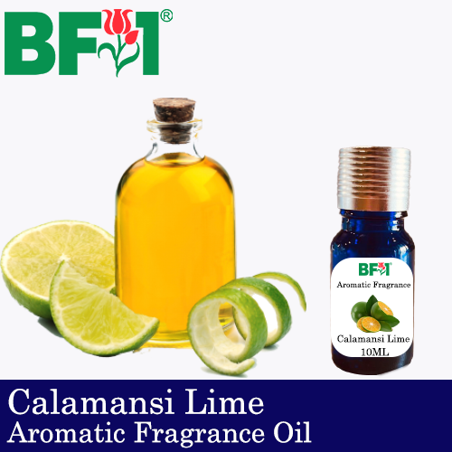 Aromatic Fragrance Oil (AFO) - Calamansi Lime - 10ml