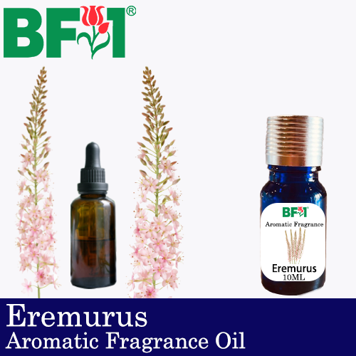 Aromatic Fragrance Oil (AFO) - Eremurus - 10ml