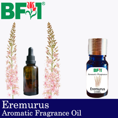 Aromatic Fragrance Oil (AFO) - Eremurus - 10ml